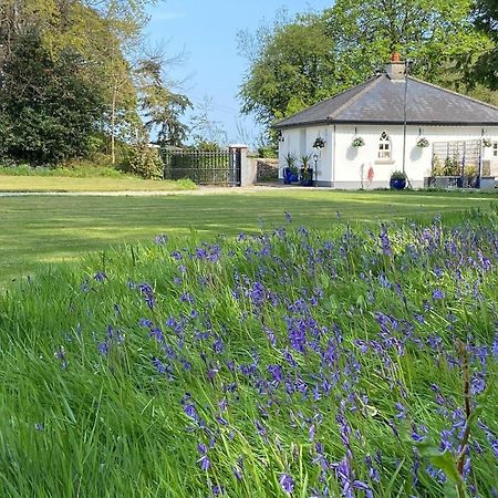Rathjarney Gatelodge Wexford Dış mekan fotoğraf