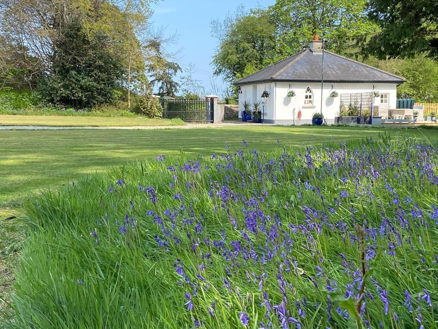 Rathjarney Gatelodge Wexford Dış mekan fotoğraf